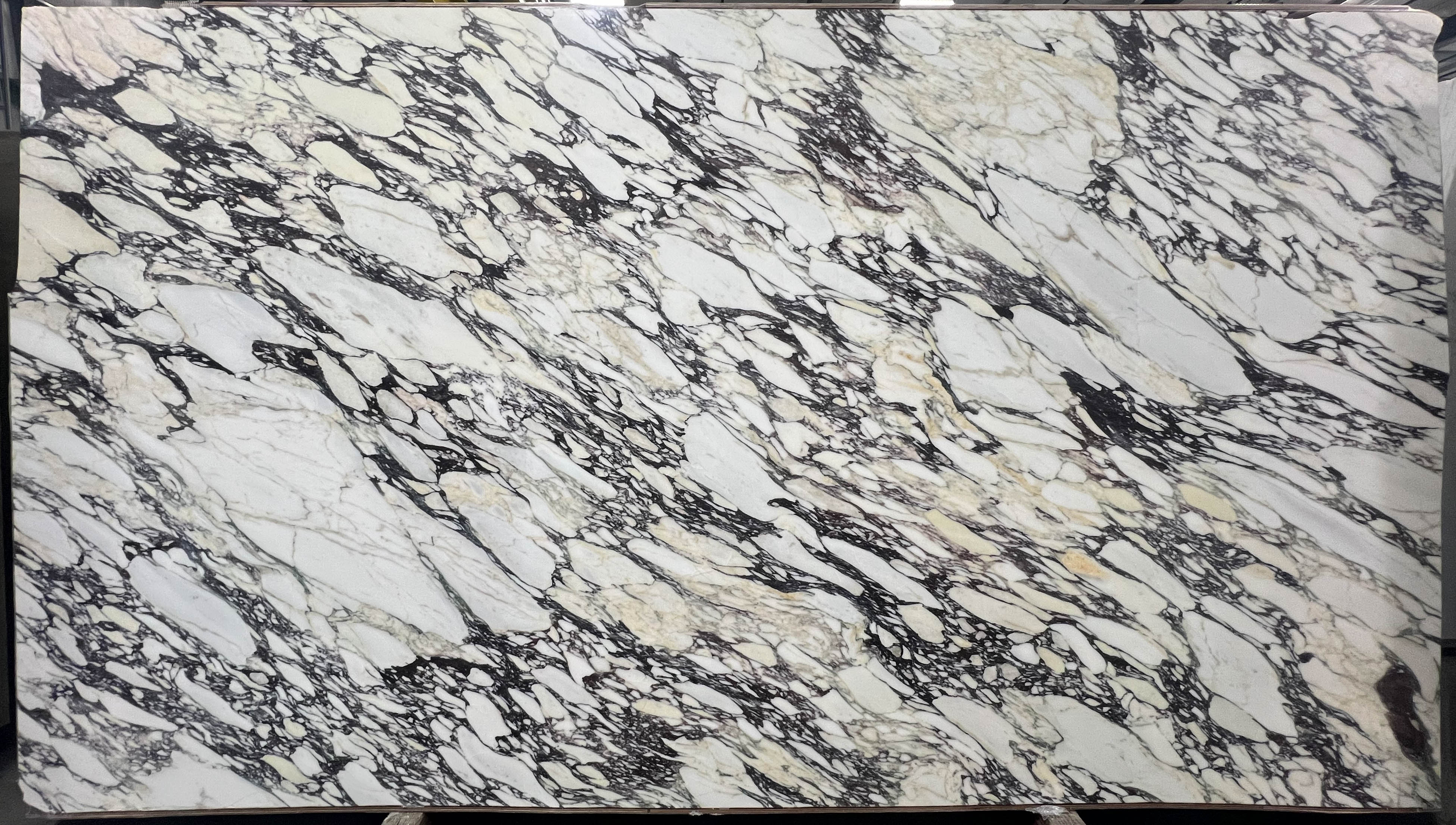  Calacatta Viola Marble Slab 3/4 - 4126#07 -  76x132 