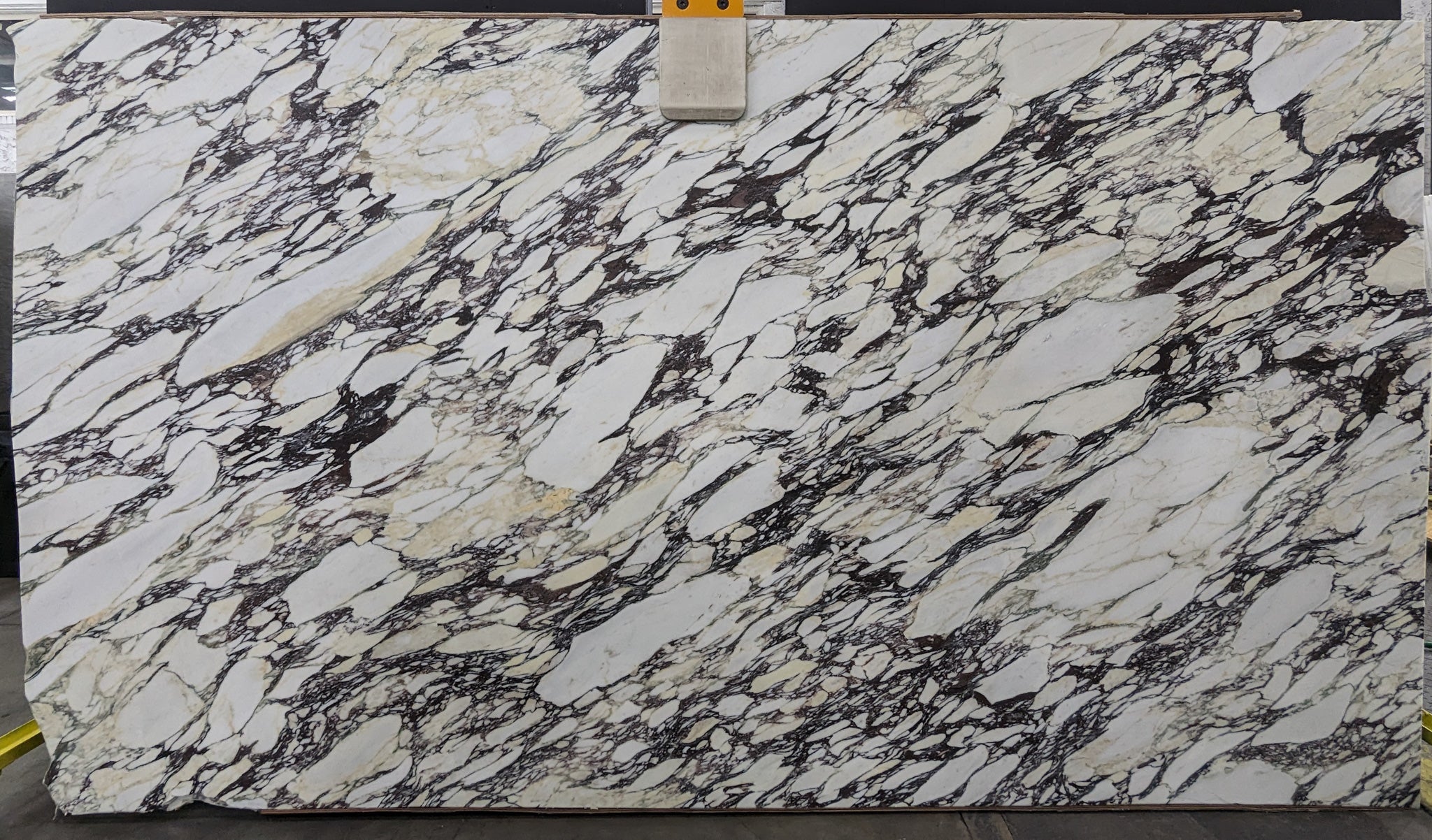  Calacatta Viola Marble Slab 3/4 - 4126#20 -  75x135 