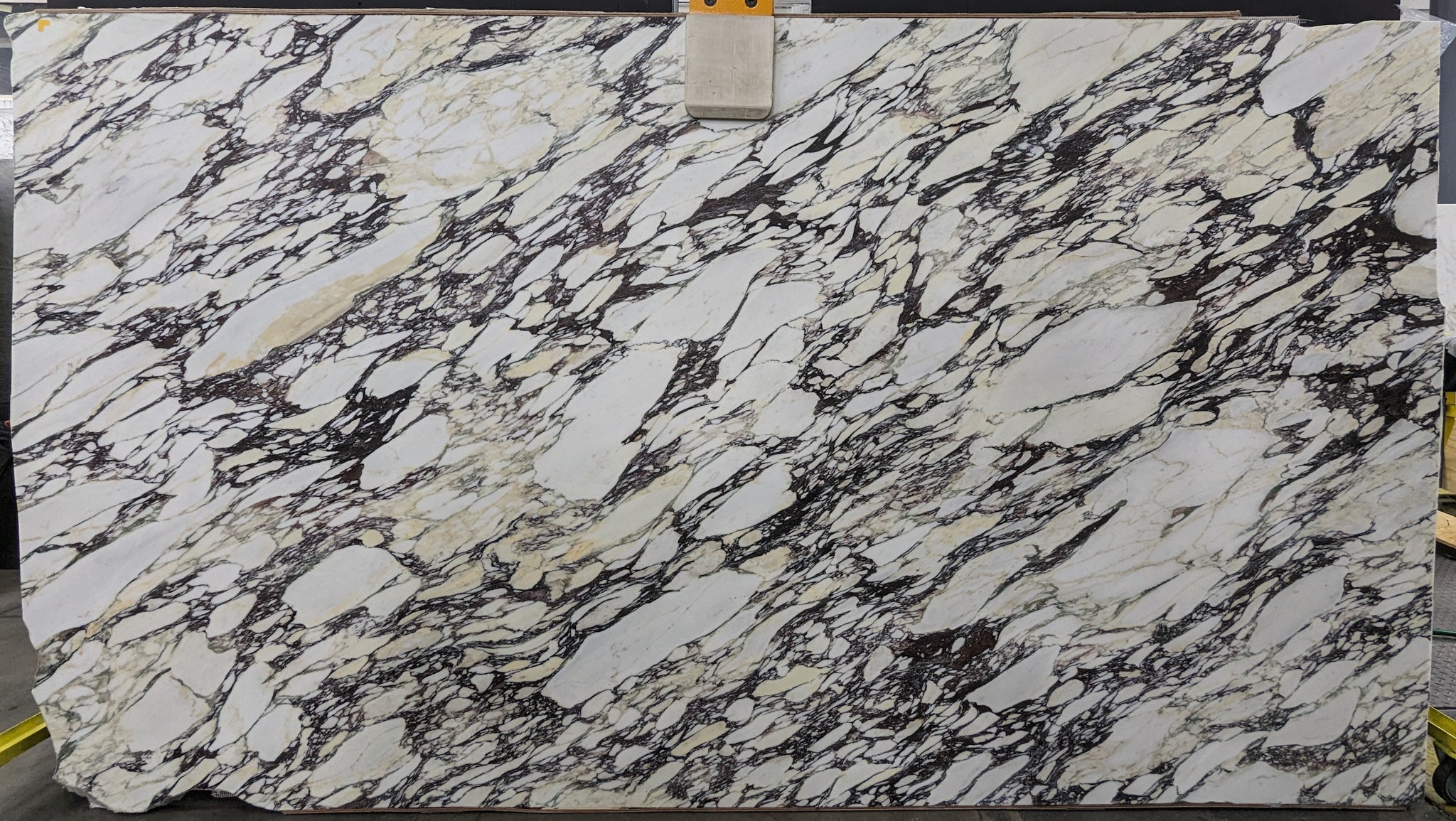  Calacatta Viola Marble Slab 3/4 - 4126#22 -  75x135 