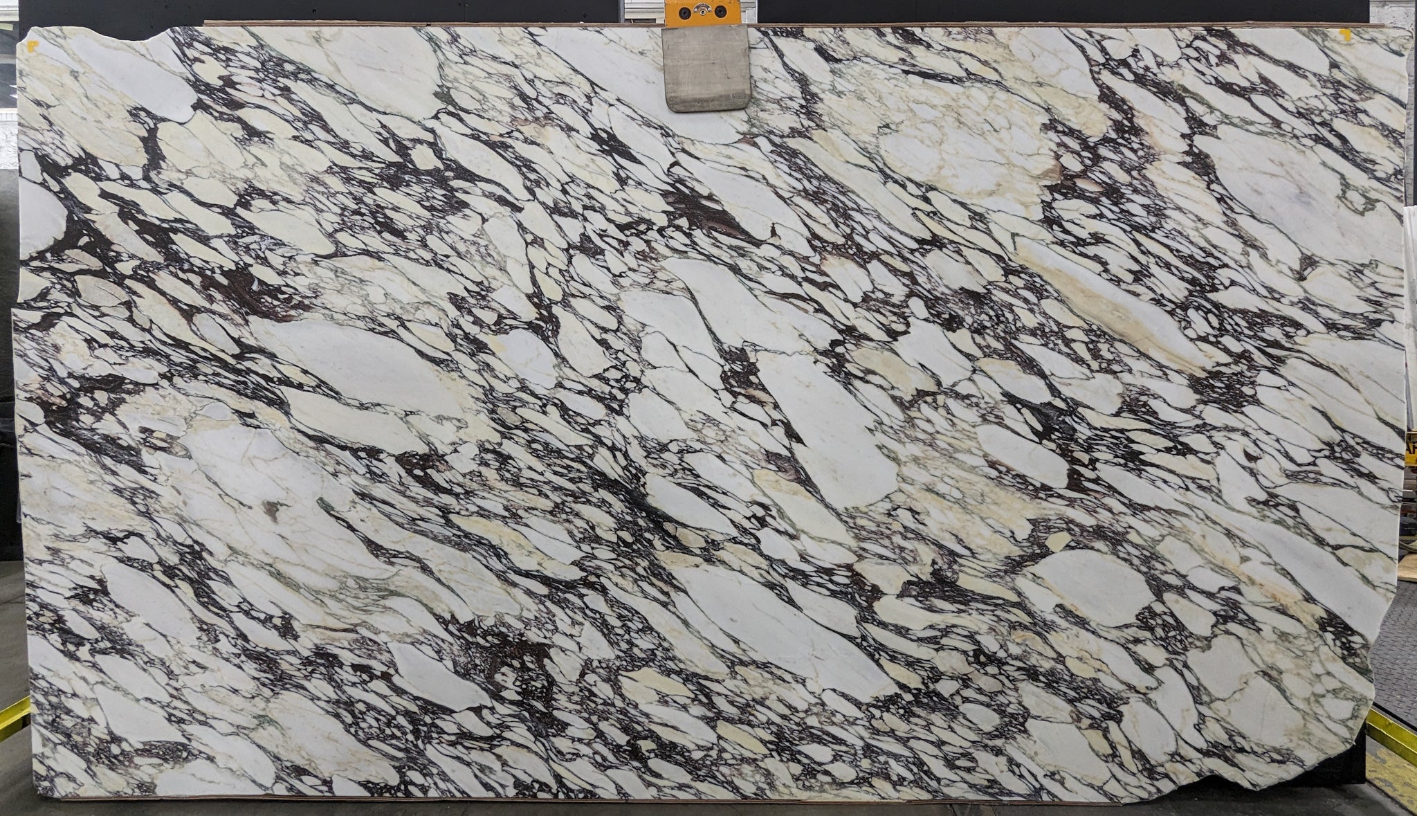 Calacatta Viola Marble Slab 3/4 - 4126#25 -  74x132 