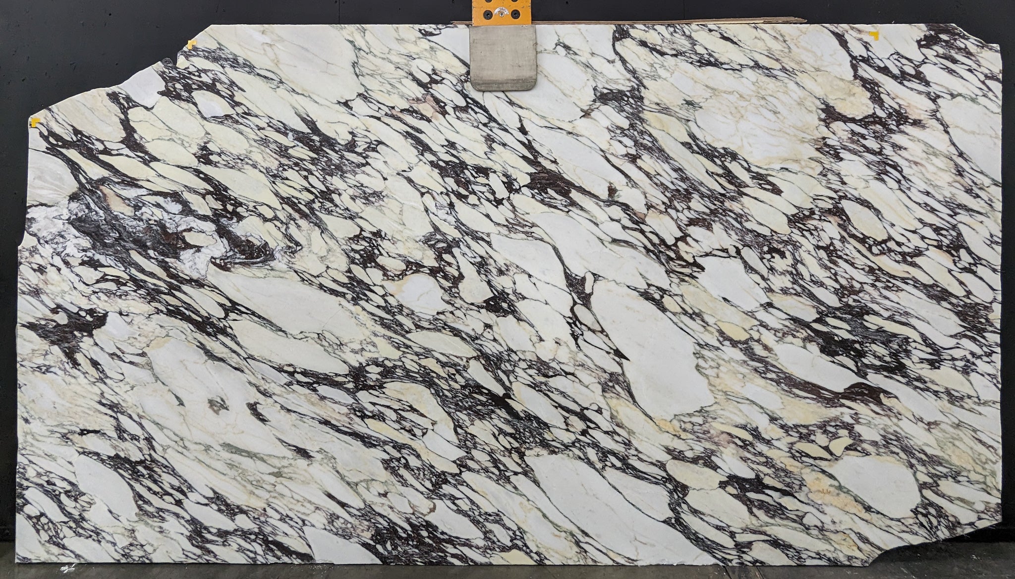  Calacatta Viola Marble Slab 3/4 - 4126#29 -  56x106 