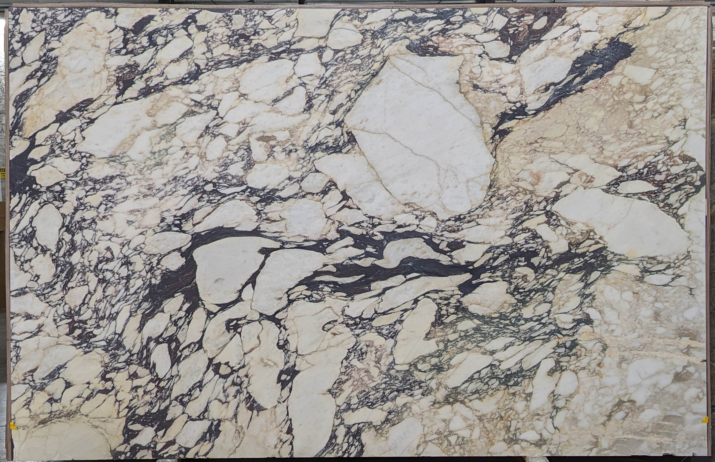  Calacatta Viola Marble Slab 3/4 - VR7578#17 -  71X120 