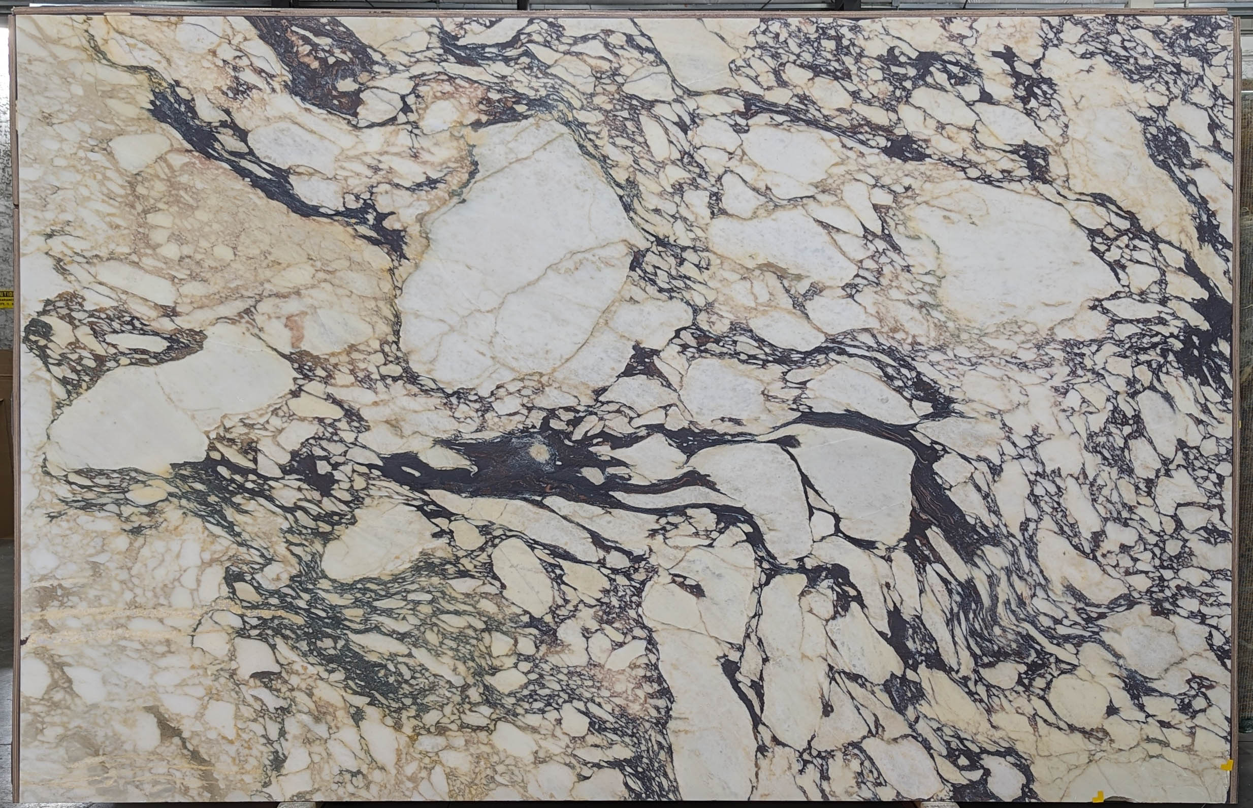  Calacatta Viola Marble Slab 3/4 - VR7578#20 -  74X120 