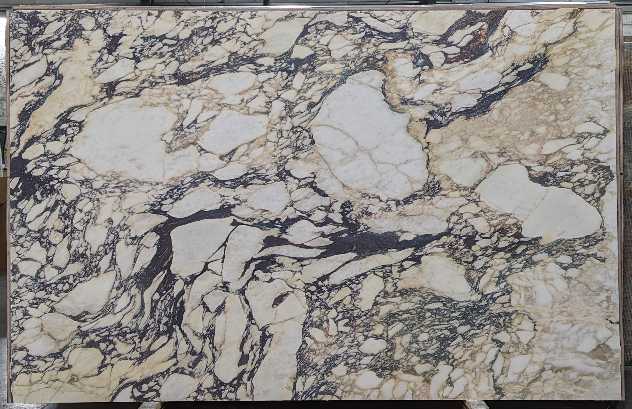  Calacatta Viola Marble Slab 3/4 - VR7578#21 -  76X120 