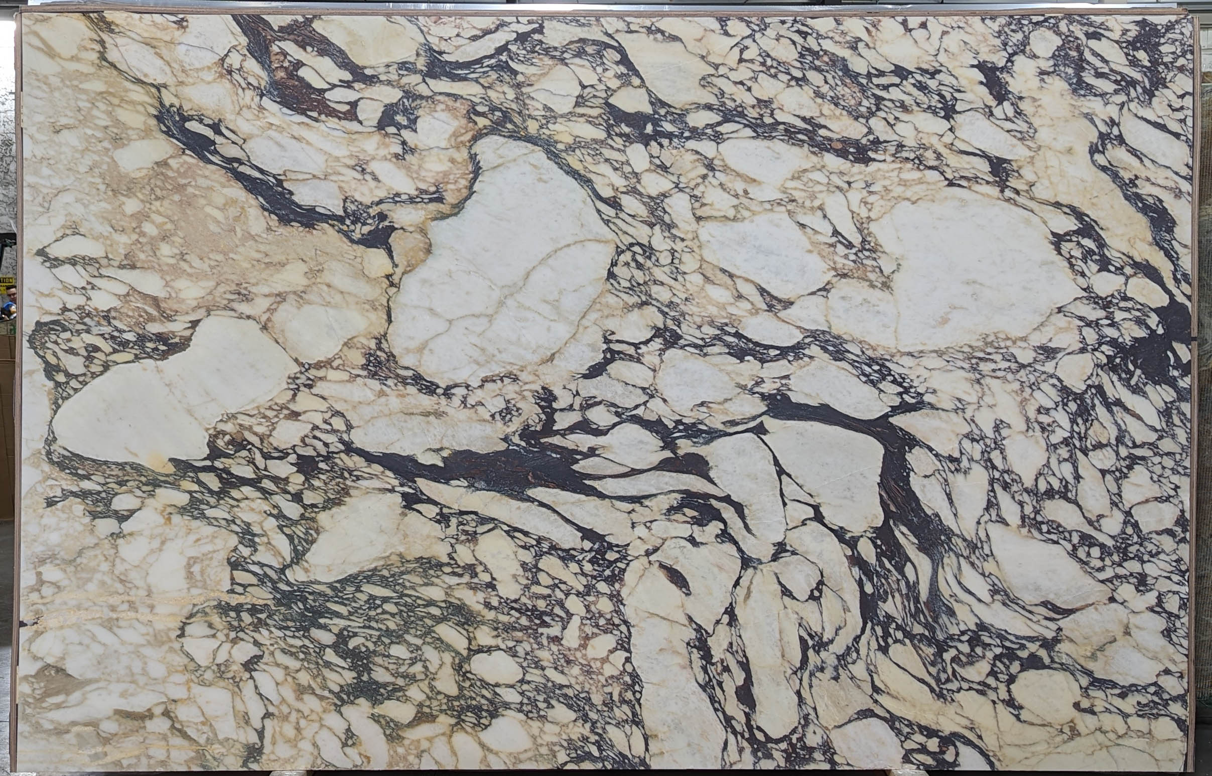  Calacatta Viola Marble Slab 3/4 - VR7578#22 -  76X120 