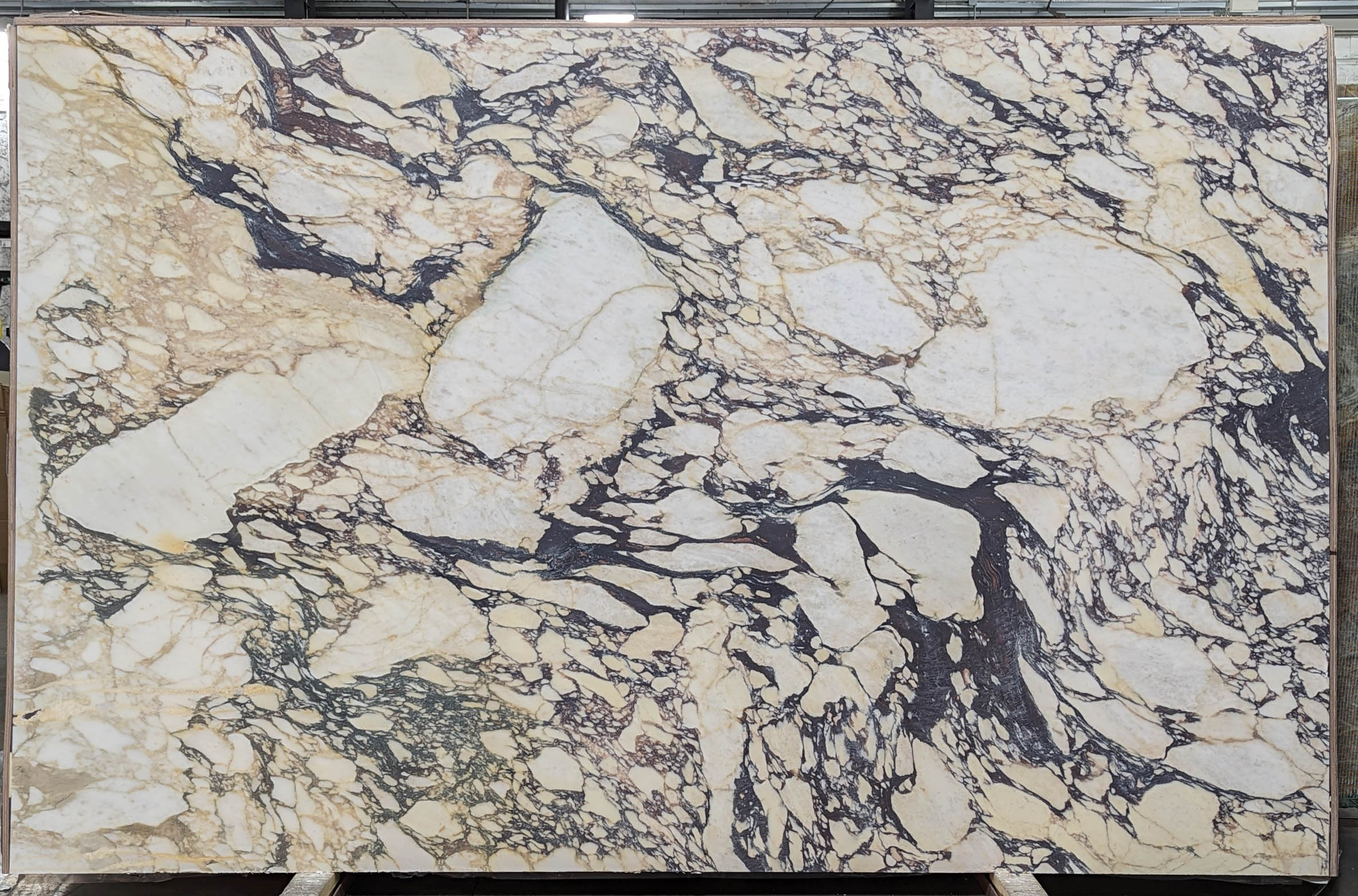  Calacatta Viola Marble Slab 3/4 - VR7578#24 -  76X120 