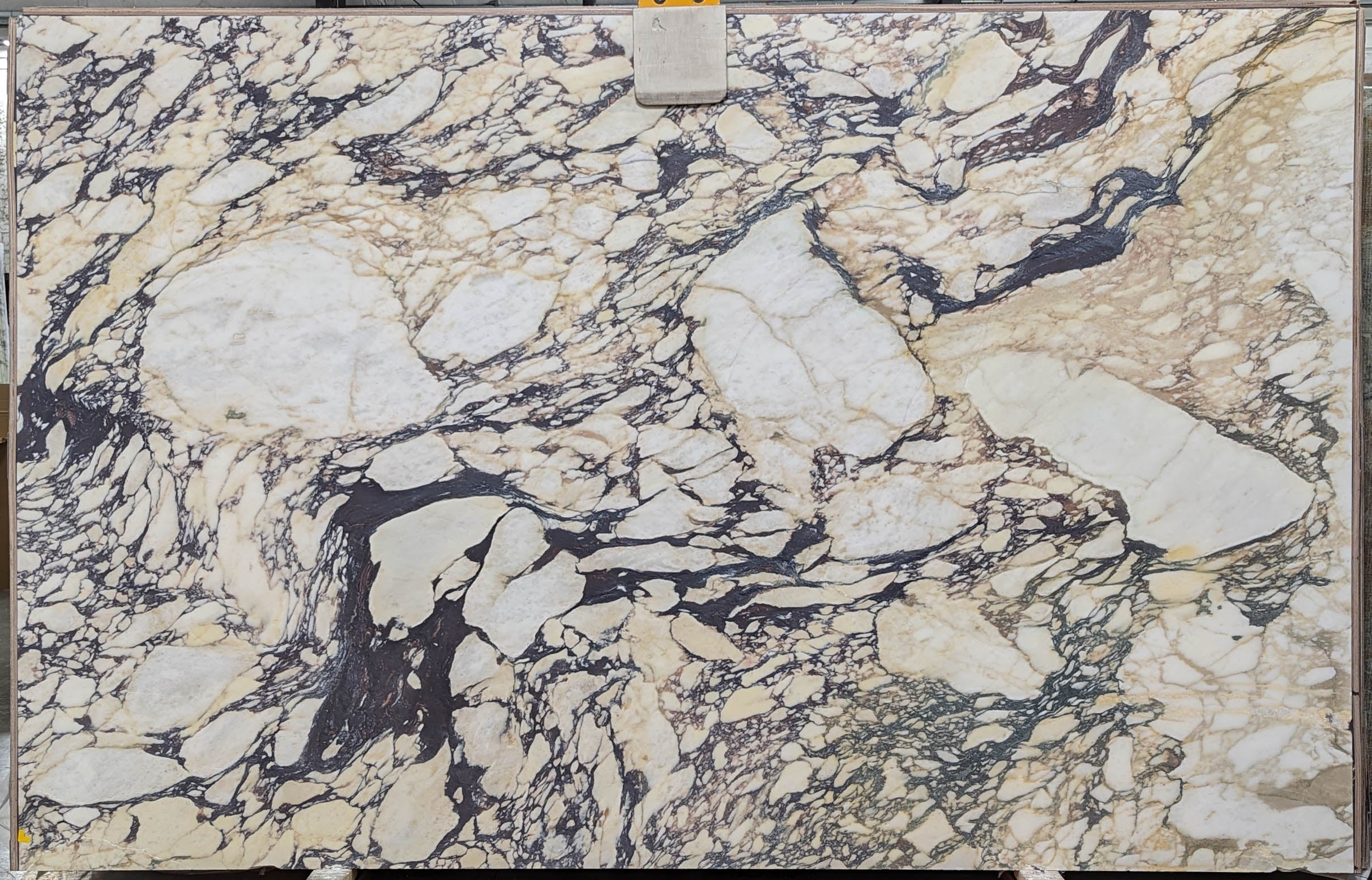  Calacatta Viola Marble Slab 3/4 - VR7578#25 -  75X120 