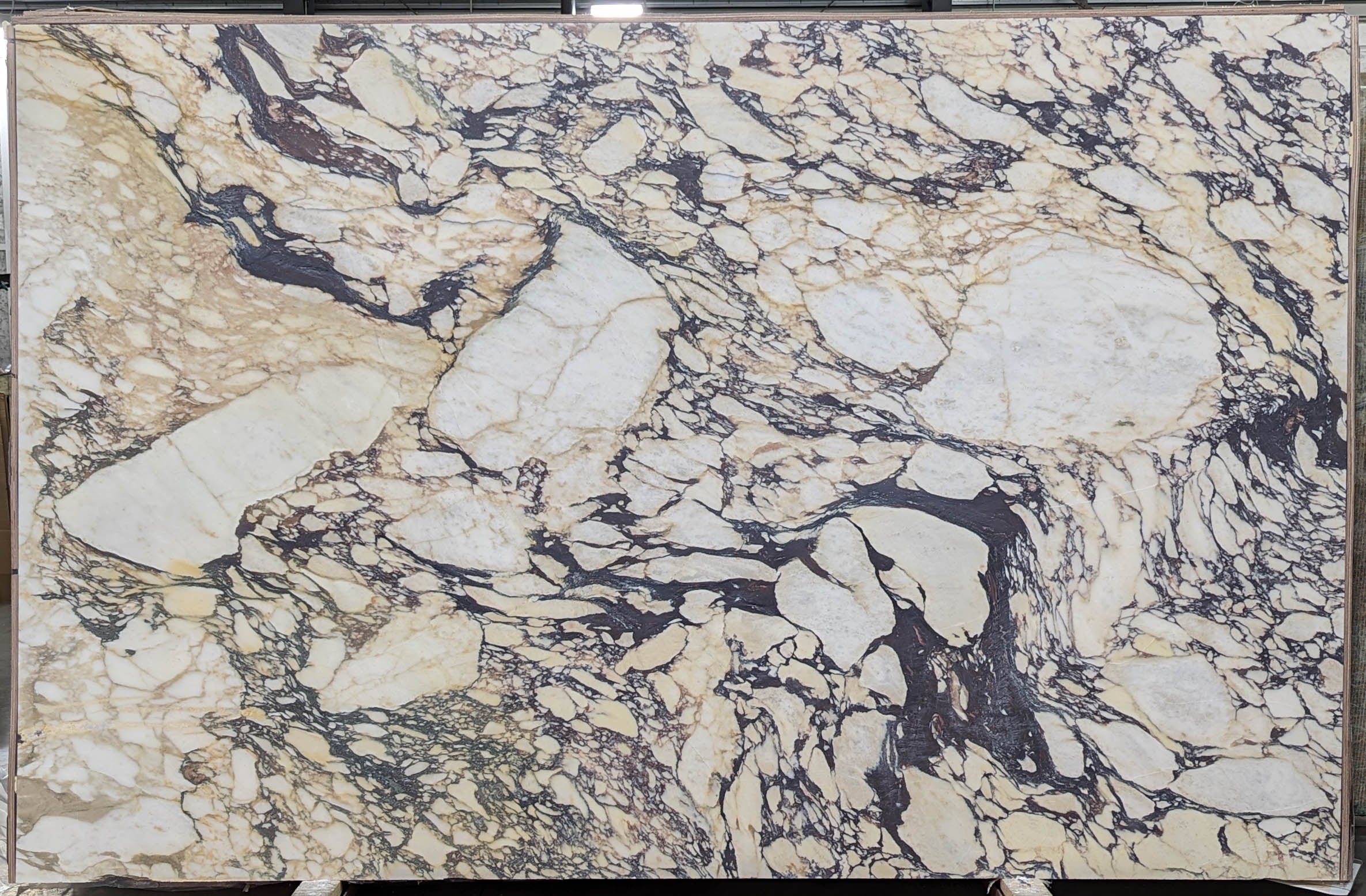  Calacatta Viola Marble Slab 3/4 - VR7578#26 -  76X120 