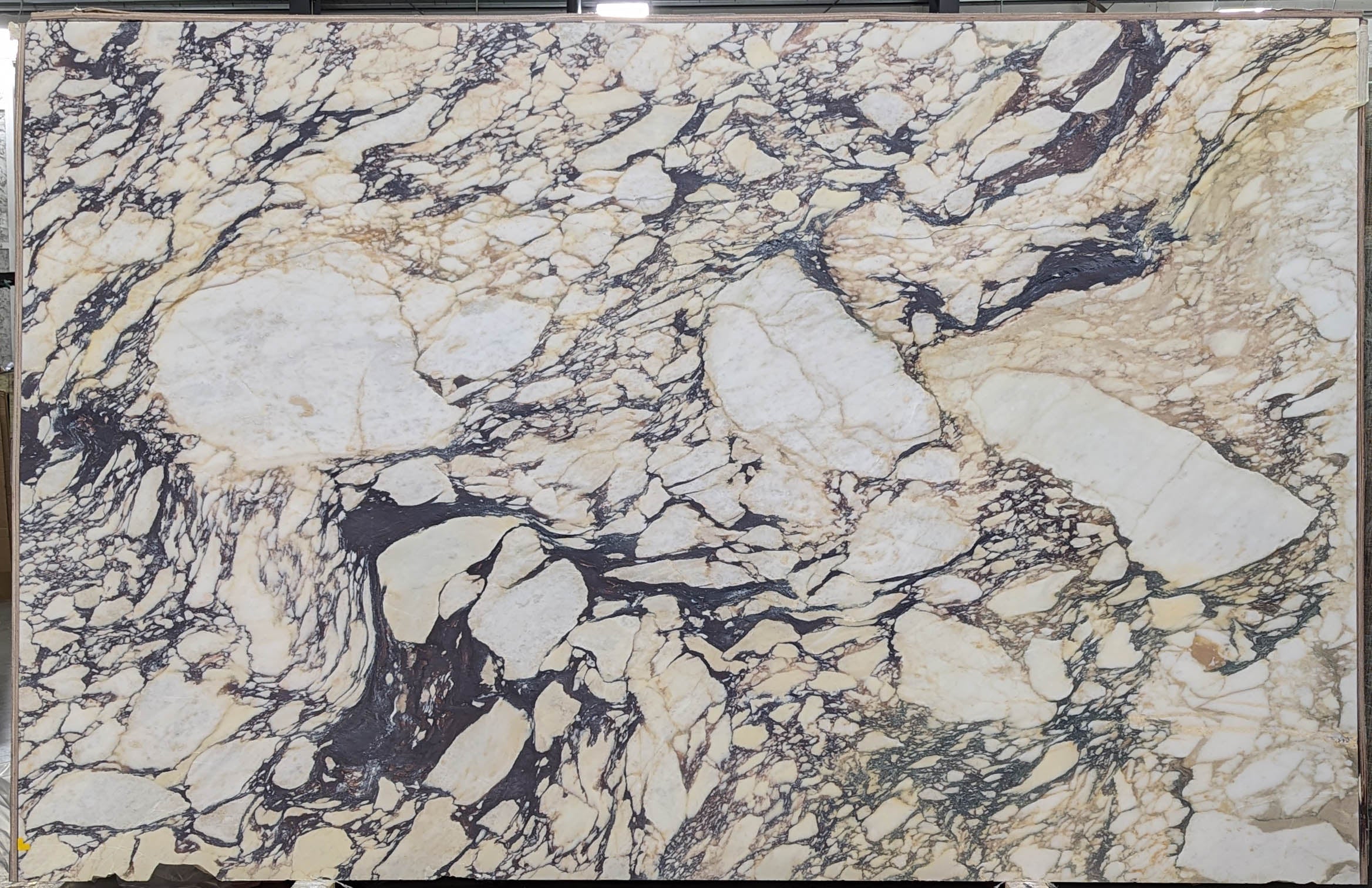  Calacatta Viola Marble Slab 3/4 - VR7578#27 -  75x120 