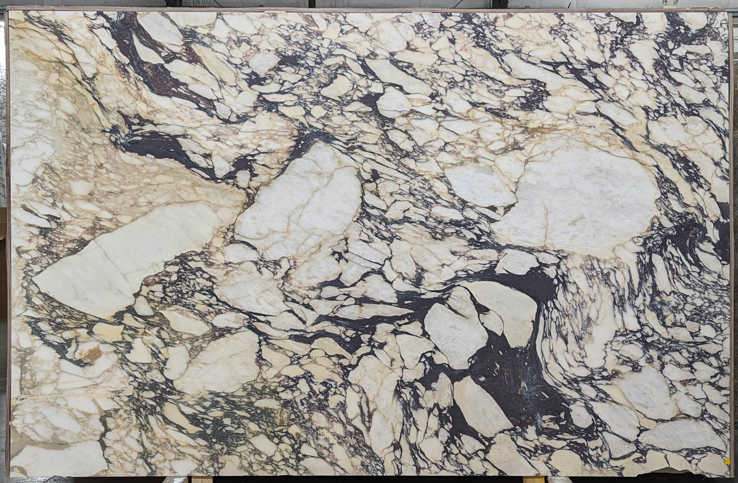  Calacatta Viola Marble Slab 3/4 - VR7578#28 -  76X119 