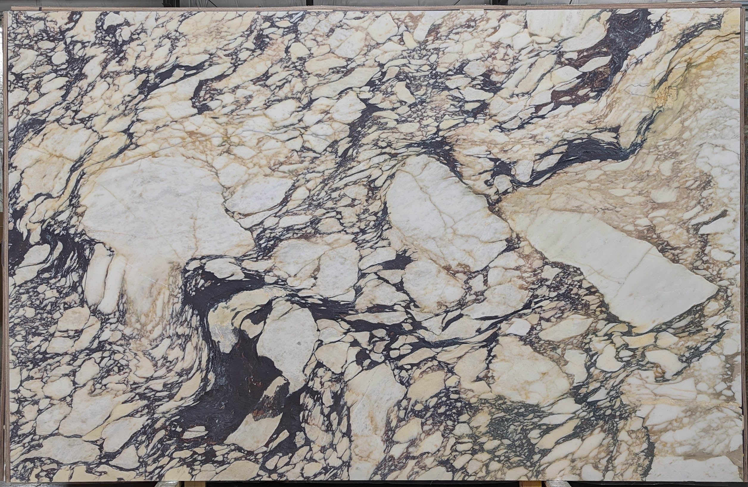  Calacatta Viola Marble Slab 3/4 - VR7578#29 -  76X119 