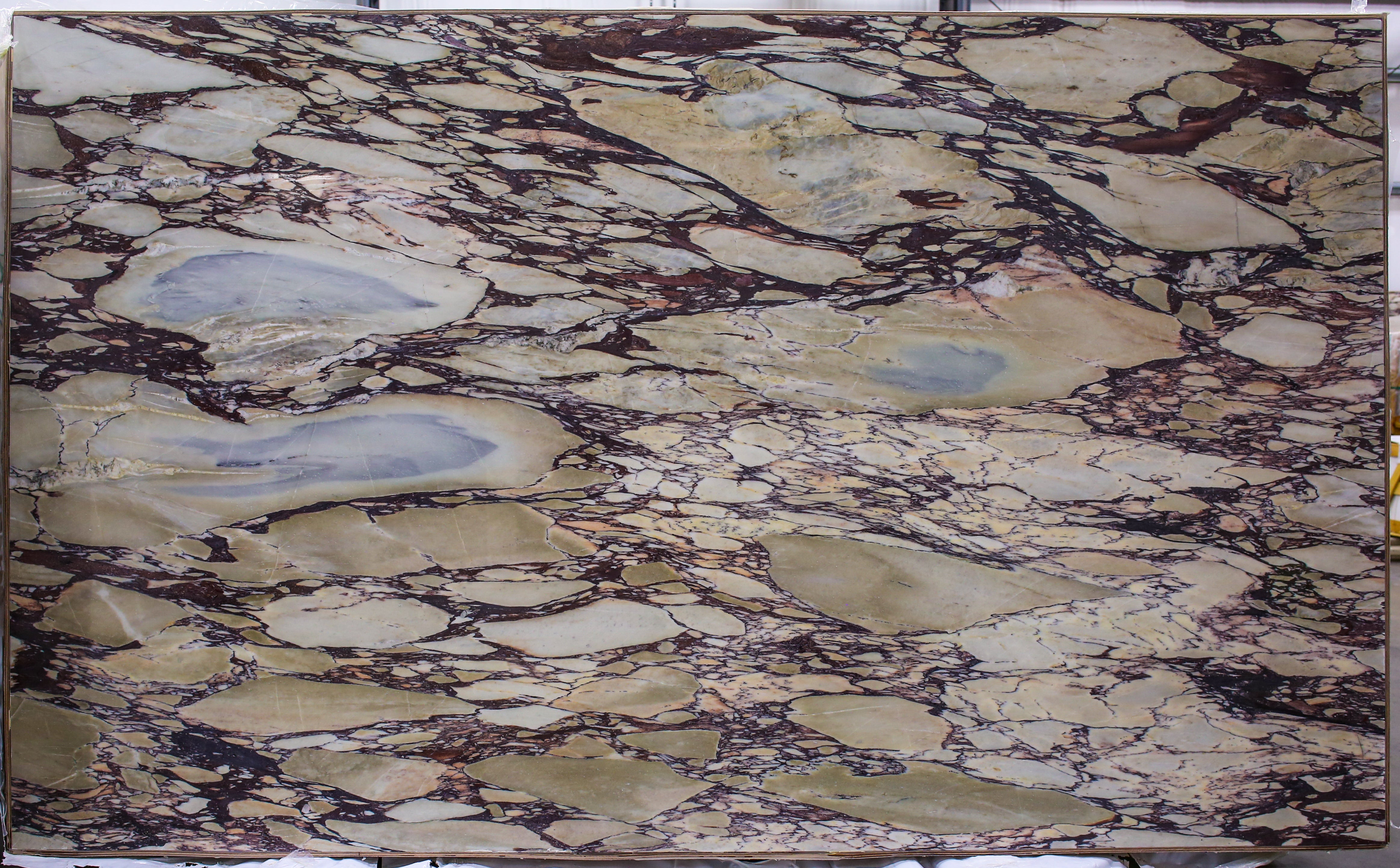  Calacatta Viola Marble Slab 3/4 - 13158#37 -  70x125 