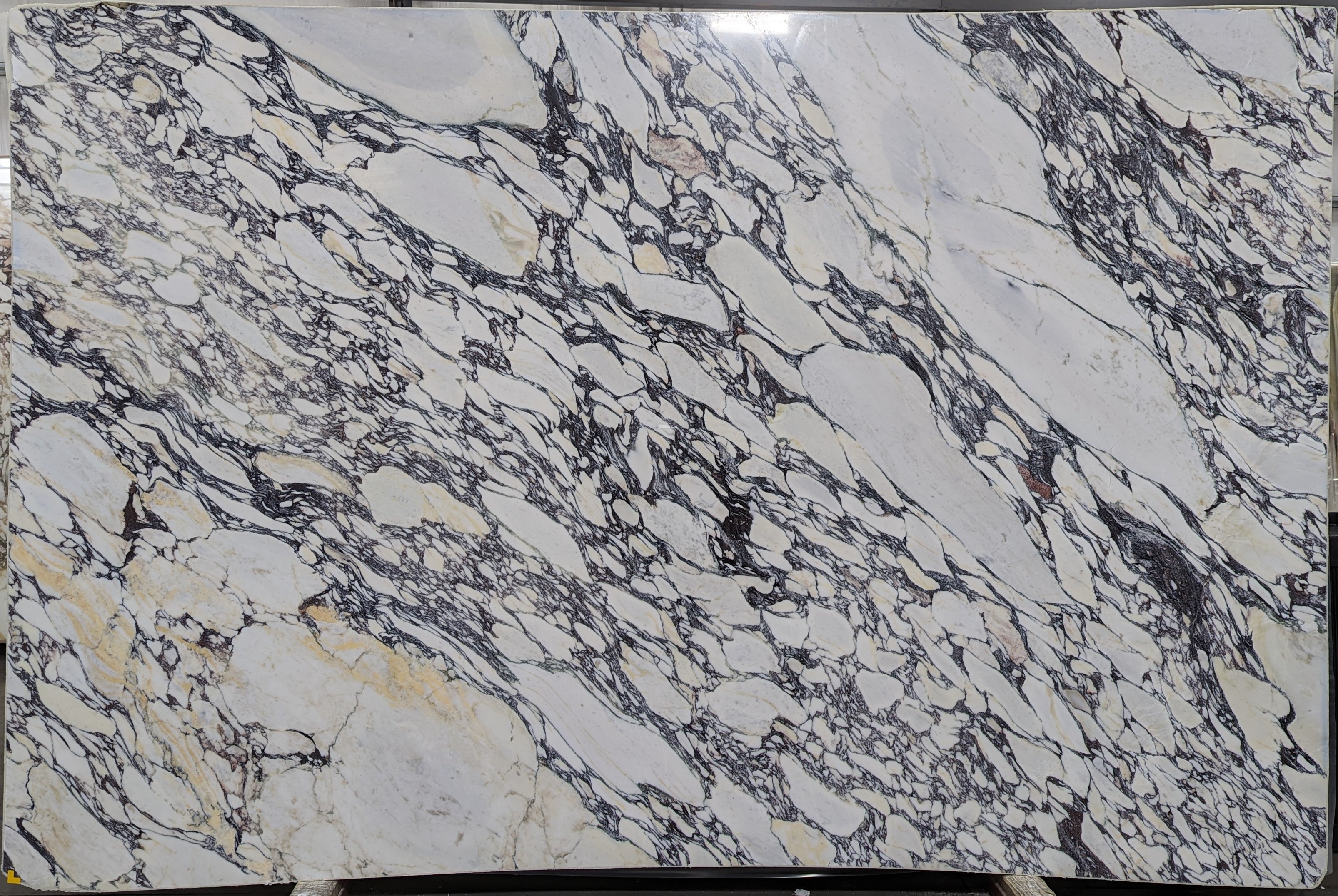  Calacatta Viola Marble Slab 3/4 - 7046#36 -  76X116 