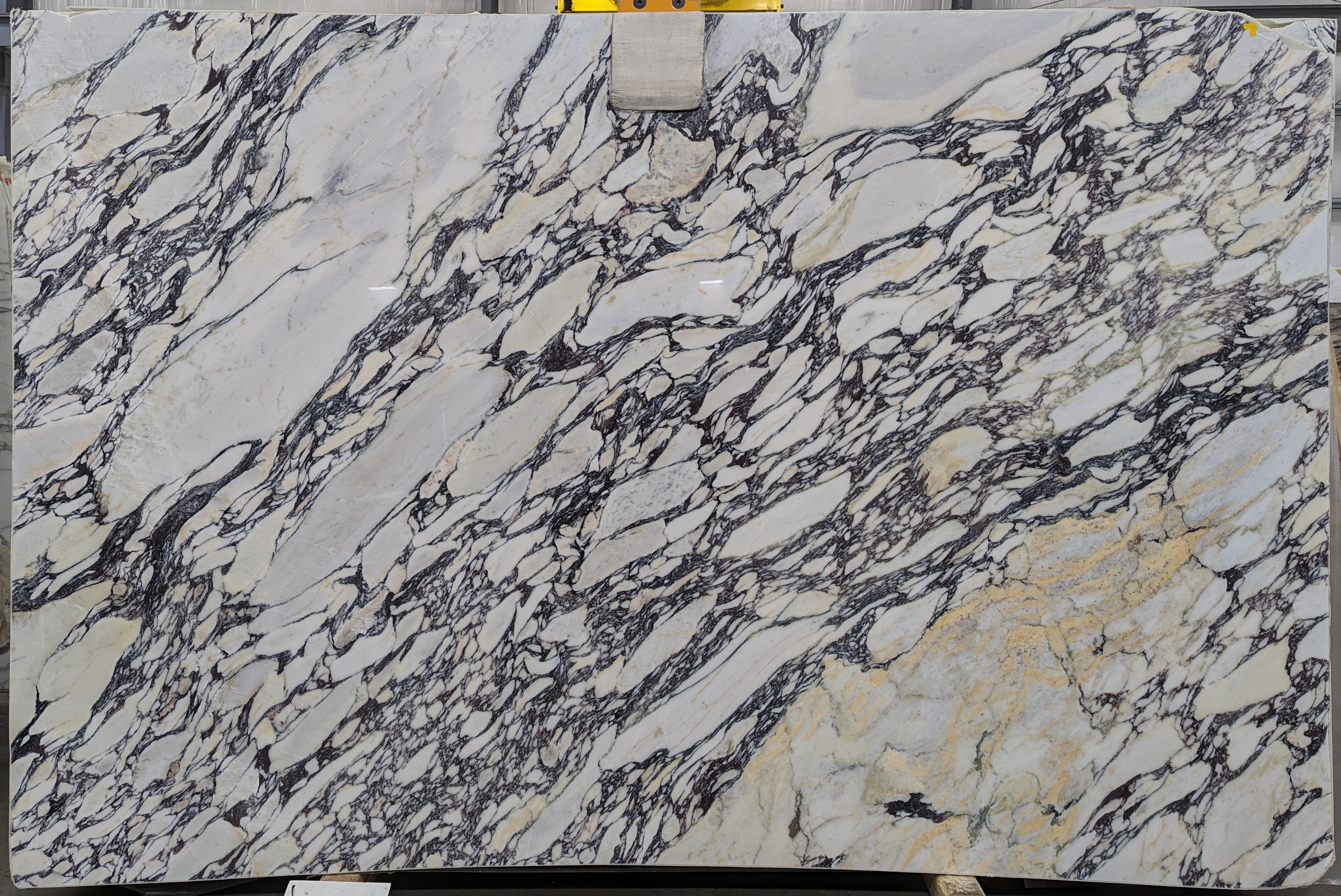  Calacatta Viola Marble Slab 3/4 - 7046#43 -  76X112 