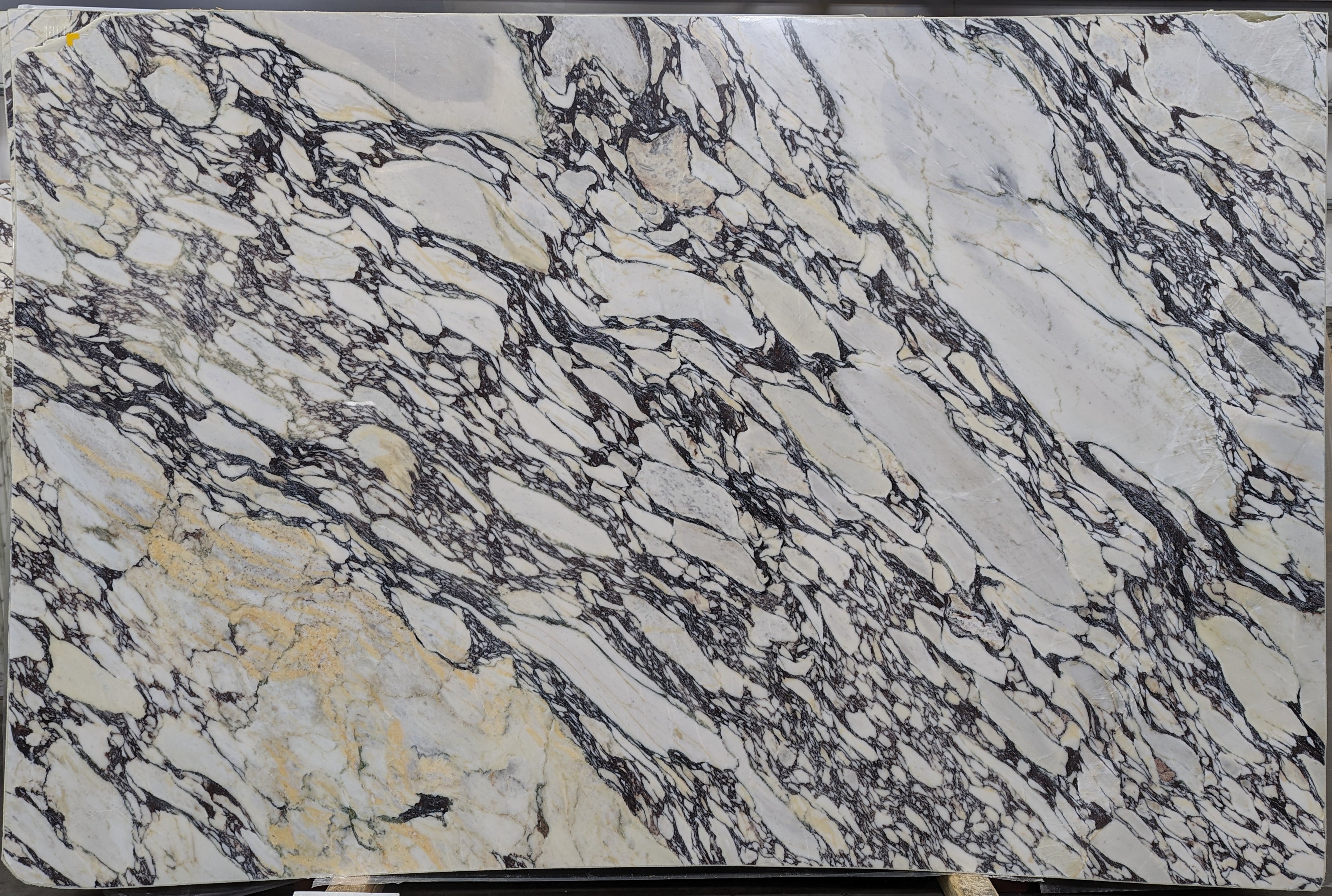  Calacatta Viola Marble Slab 3/4 - 7046#44 -  76X114 