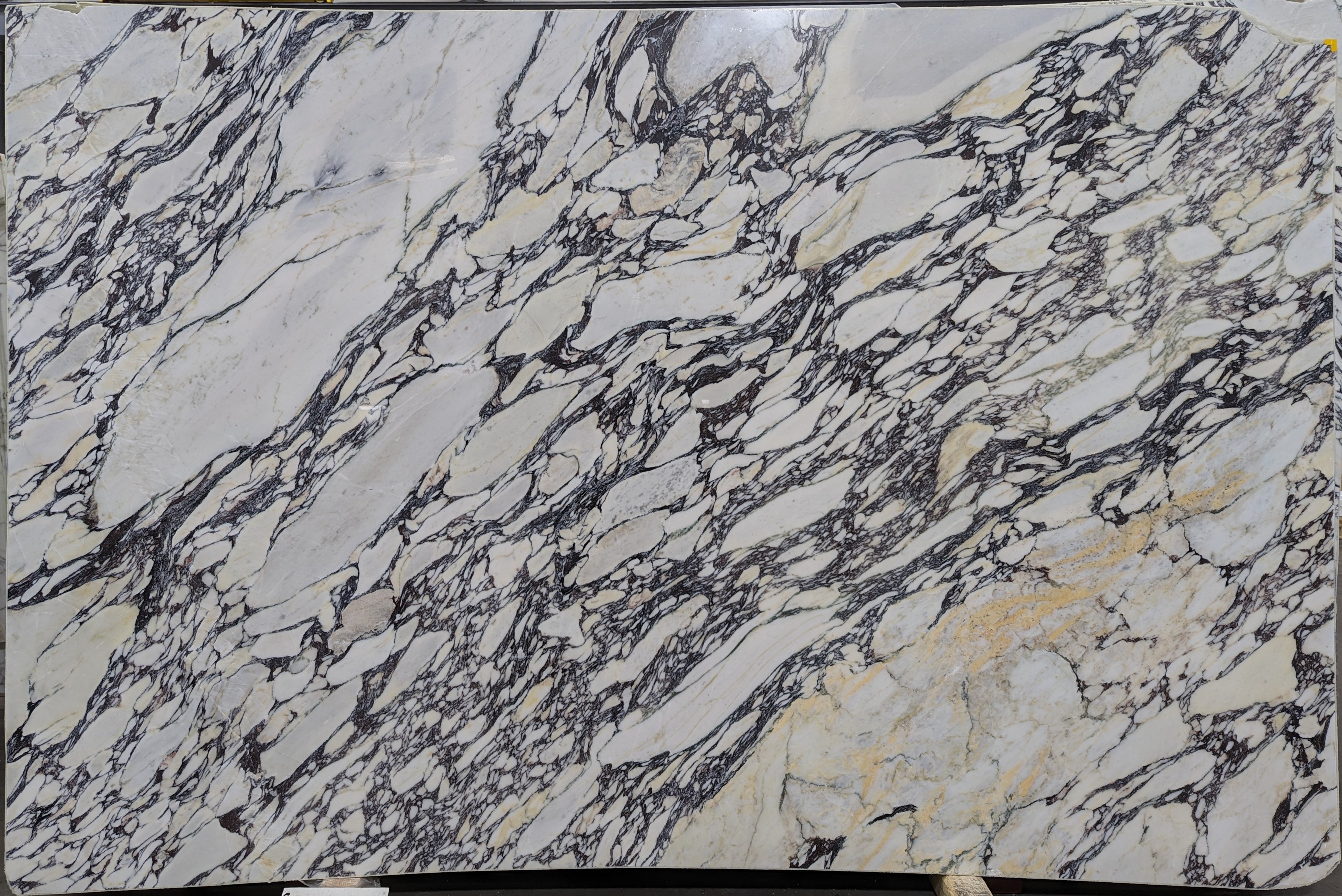  Calacatta Viola Marble Slab 3/4 - 7046#45 -  73X118 