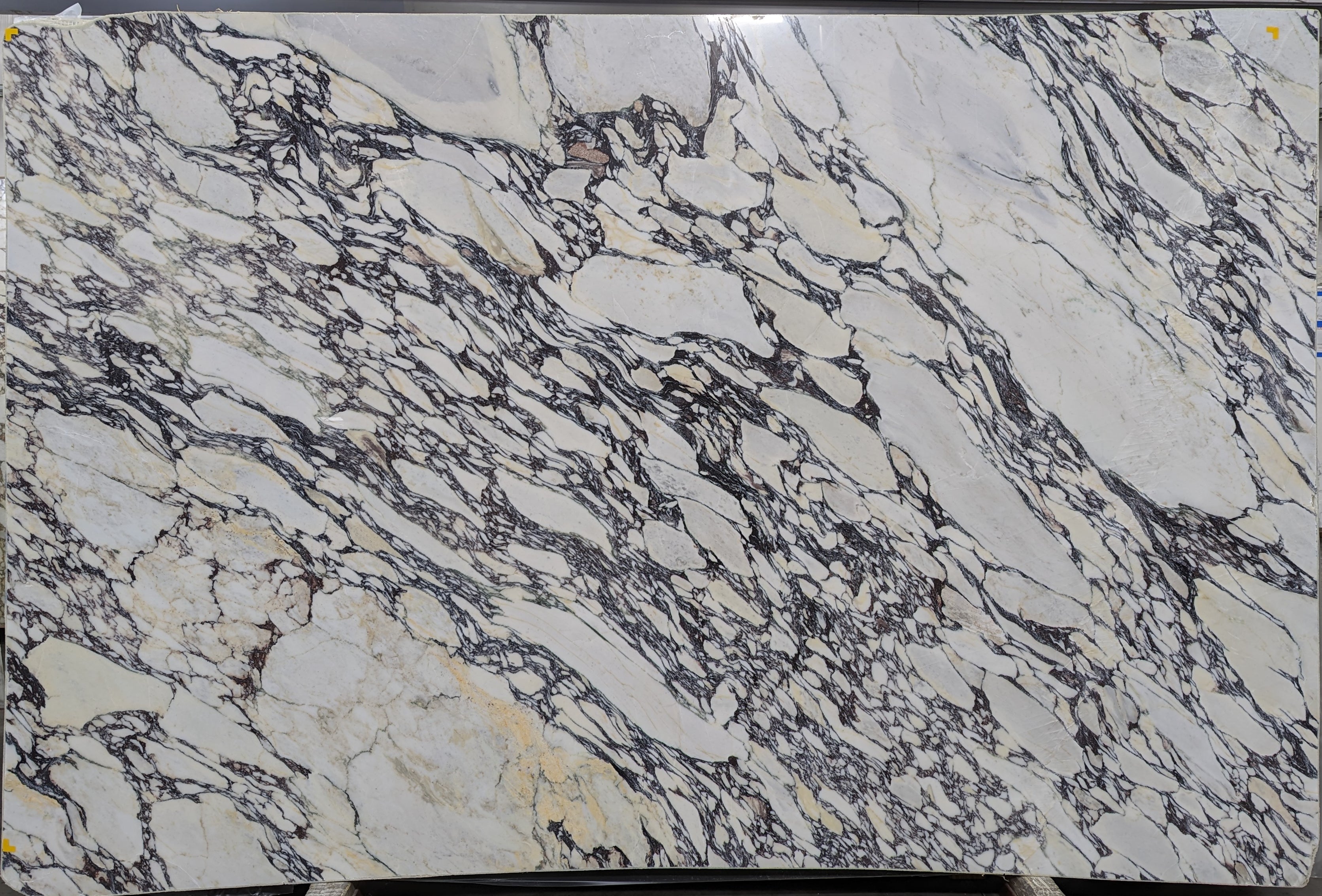 Calacatta Viola Marble Slab 3/4 - 7046#50 -  70X115 