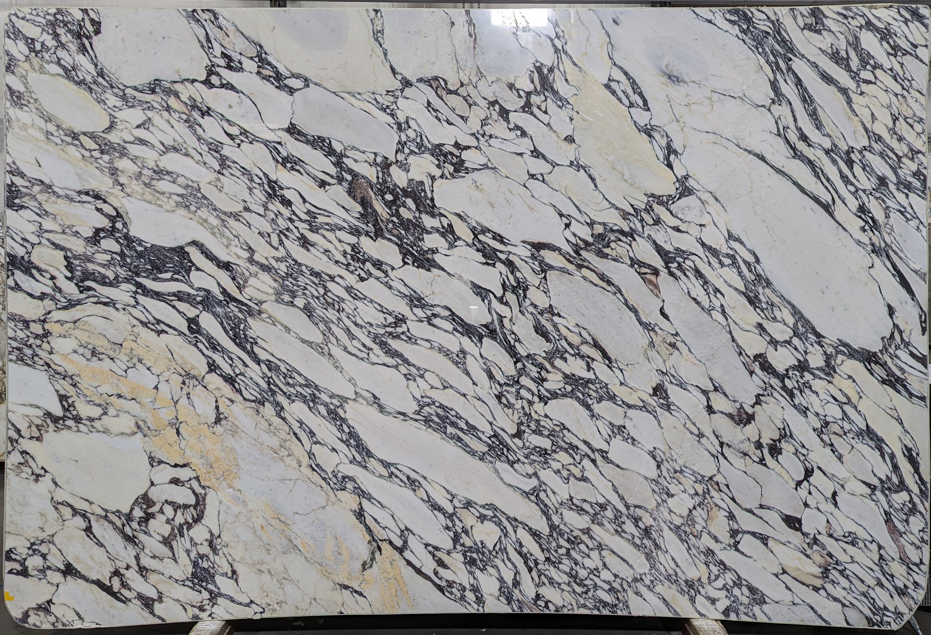  Calacatta Viola Marble Slab 3/4 - 7046#68 -  72x116 