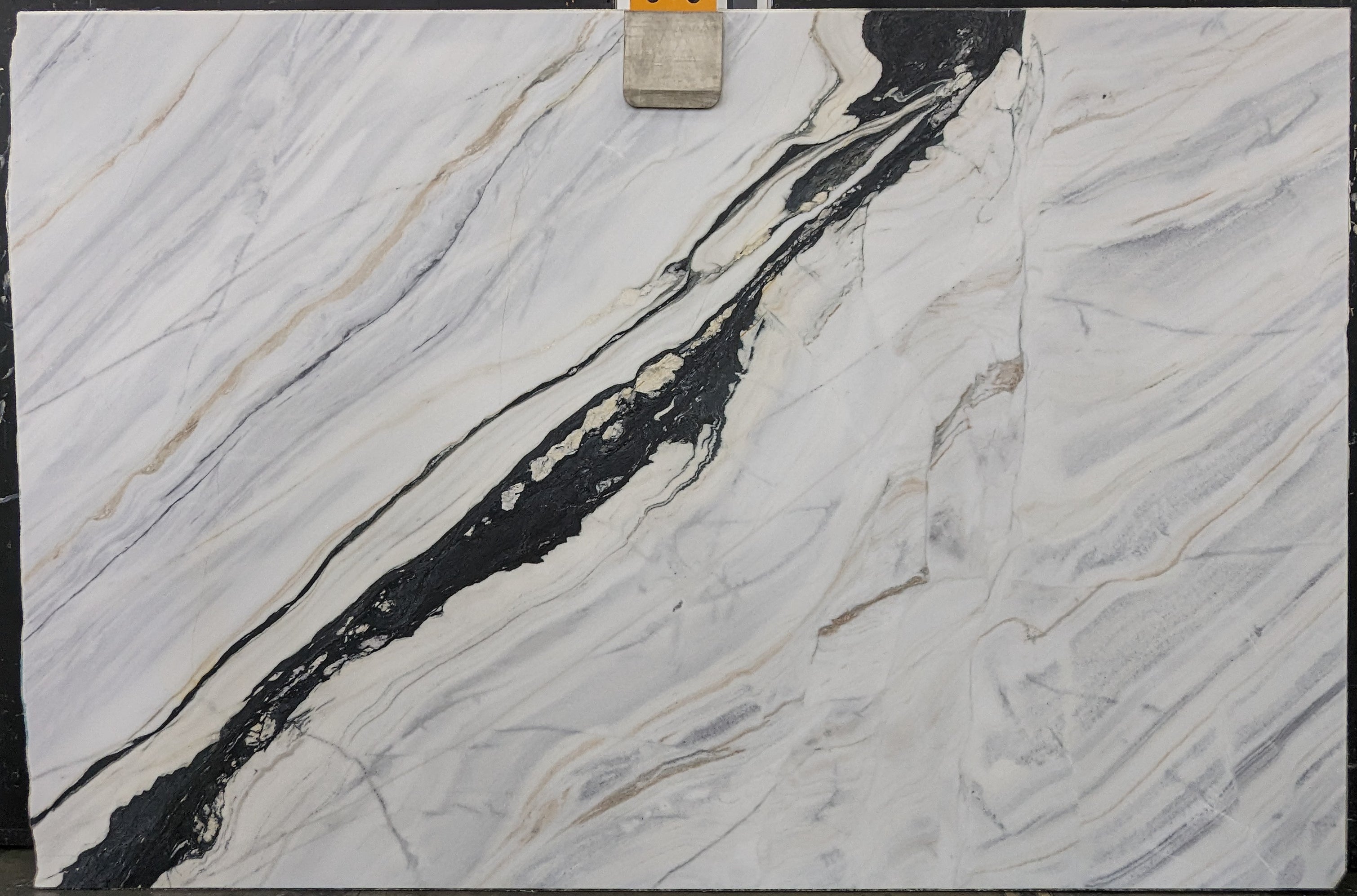  Lasa Macchia Vecchia Marble Slab 3/4  Honed Stone - DX834#51 -  76x115 