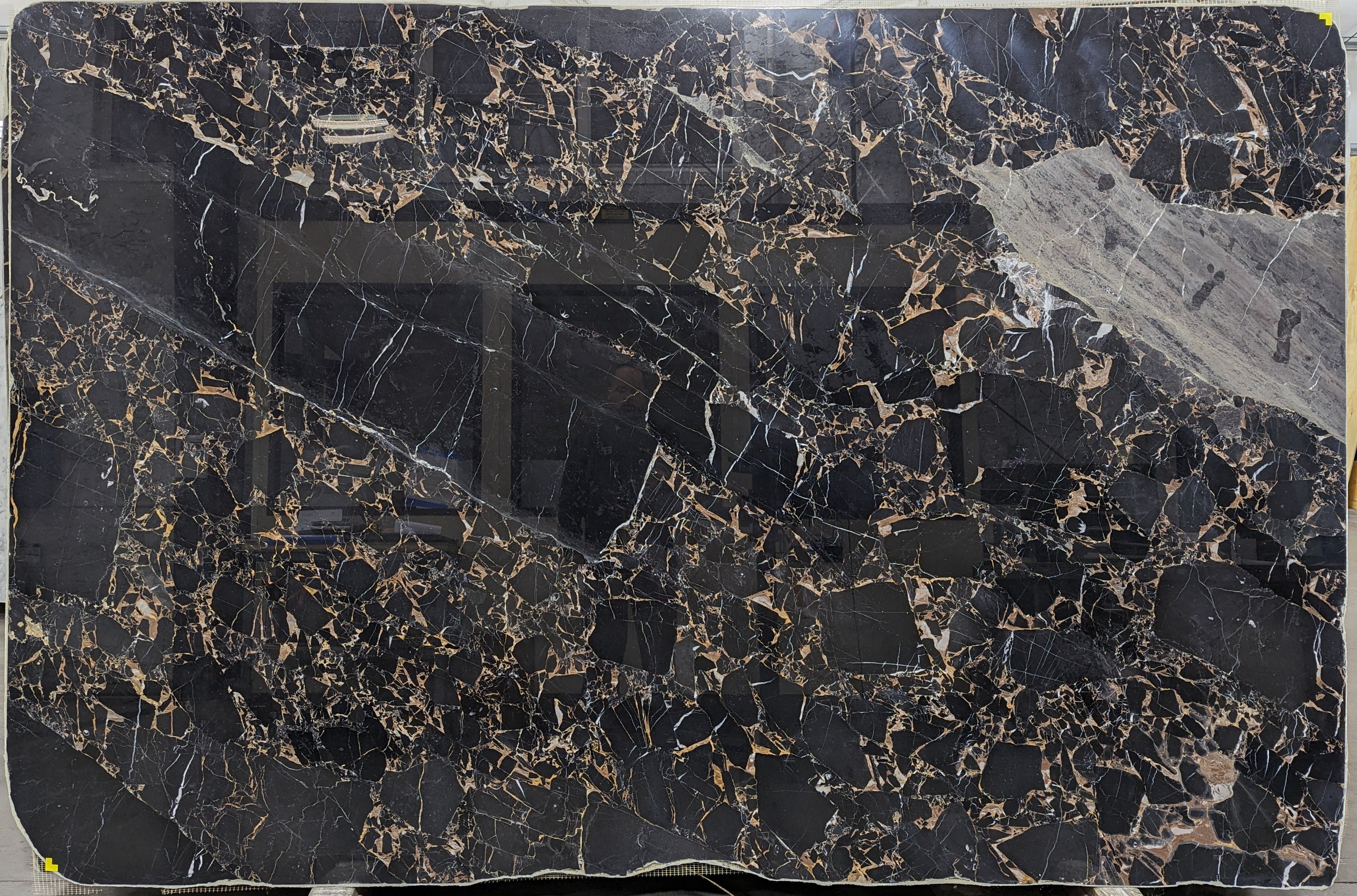  Montmartre Marble Slab 3/4  Polished Stone - 2881#74 -  70x104 