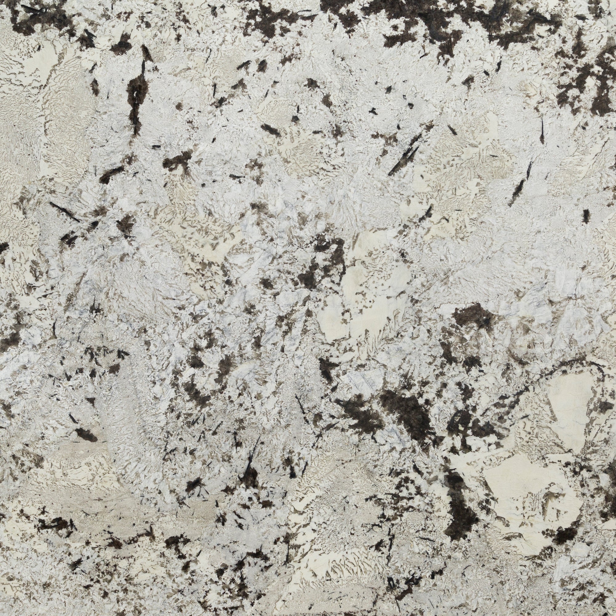 Royal White Granite Slab 1-1/4 Polished Stone – Artistic Tile