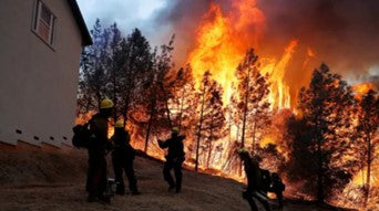 Wildfire moving towards house.