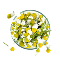 Chamomile (Matricaria Chamomilla) for Skin Care | Verabella