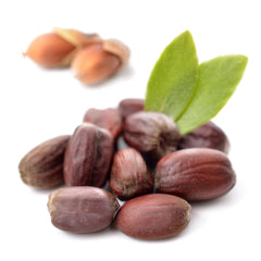 Jojoba in Skin Care | Verabella