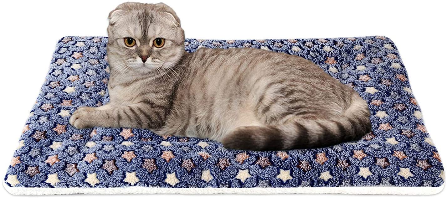 MagicPaws™ Calming Cat Blanket – Magic Paws