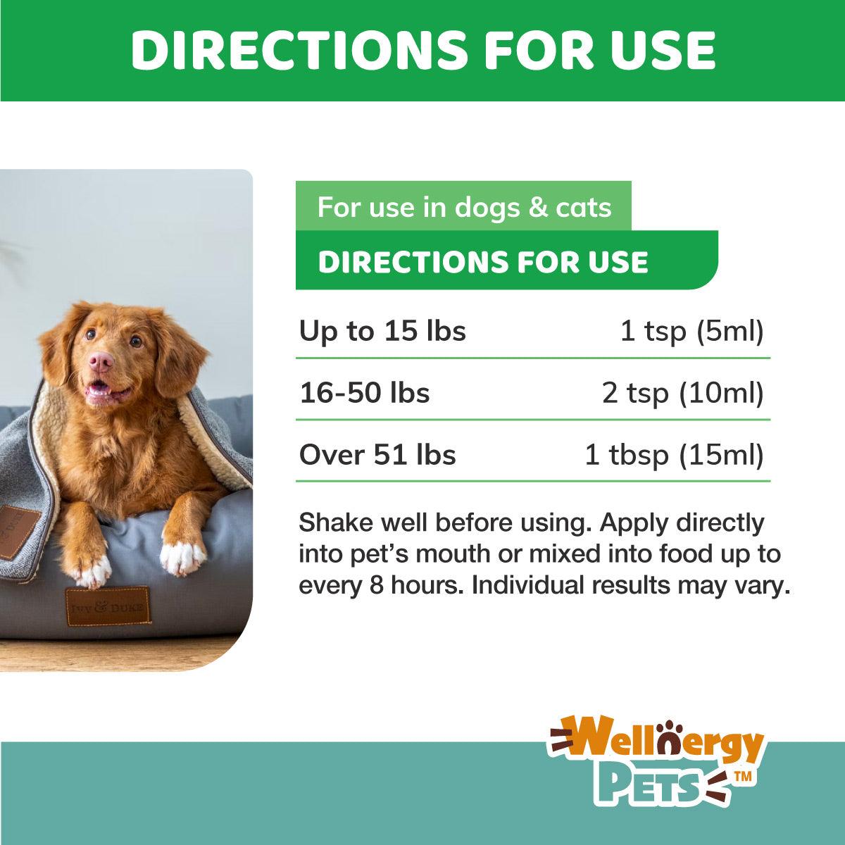 are anti diarrhea pills safe for dogs