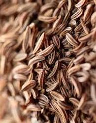 Cumin Seed Oil