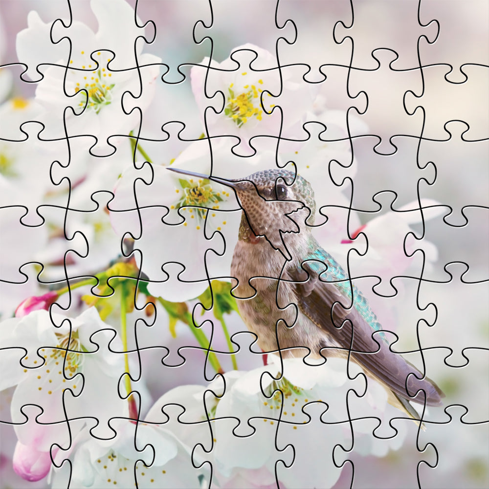 Ana&#39;s Hummingbird Zen Puzzle - Heart of the Home PA