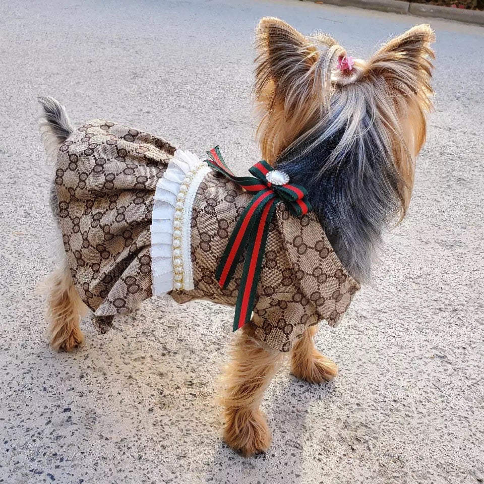 gucci dog dress