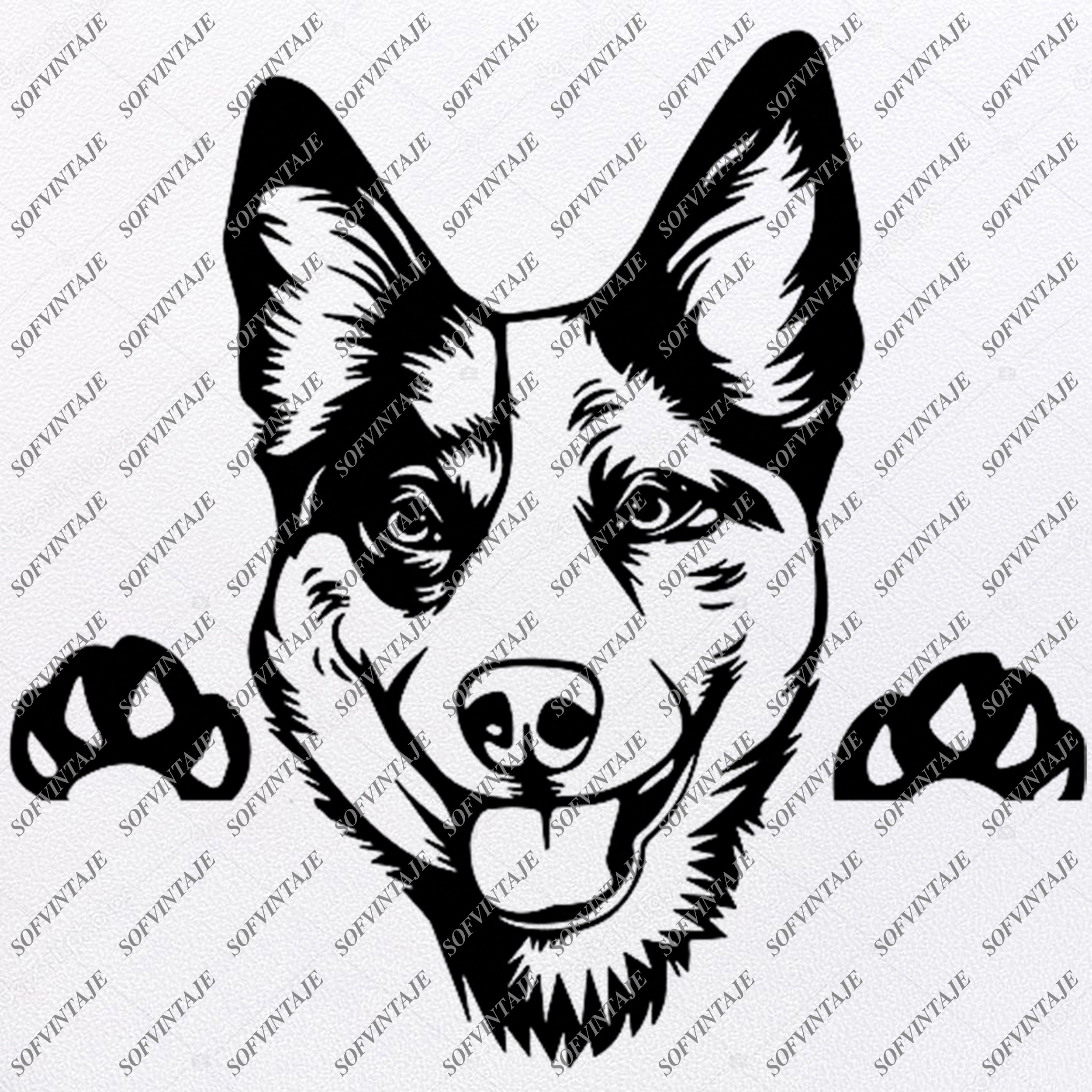 Download Australian Cattle Dog Svg File Dog Svg Australian Cattle Svg Original Sofvintaje