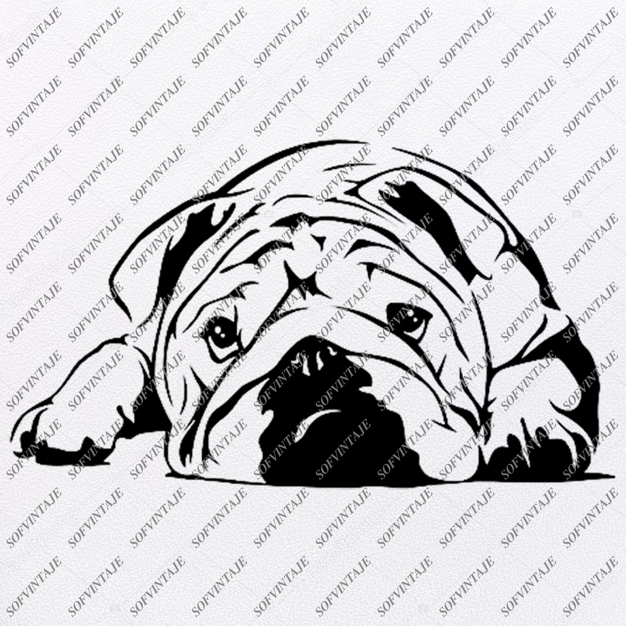 Download Bulldog Svg File English Bulldog Svg Original Design English Bulldog C Sofvintaje
