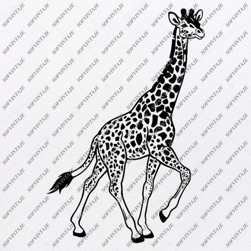 Download Products Tagged Giraffe Svg File Page 4 Sofvintaje