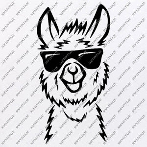 Download Kangaroo Svg File Kangaroo With Glasses Svg Australian Animal Svg Sofvintaje