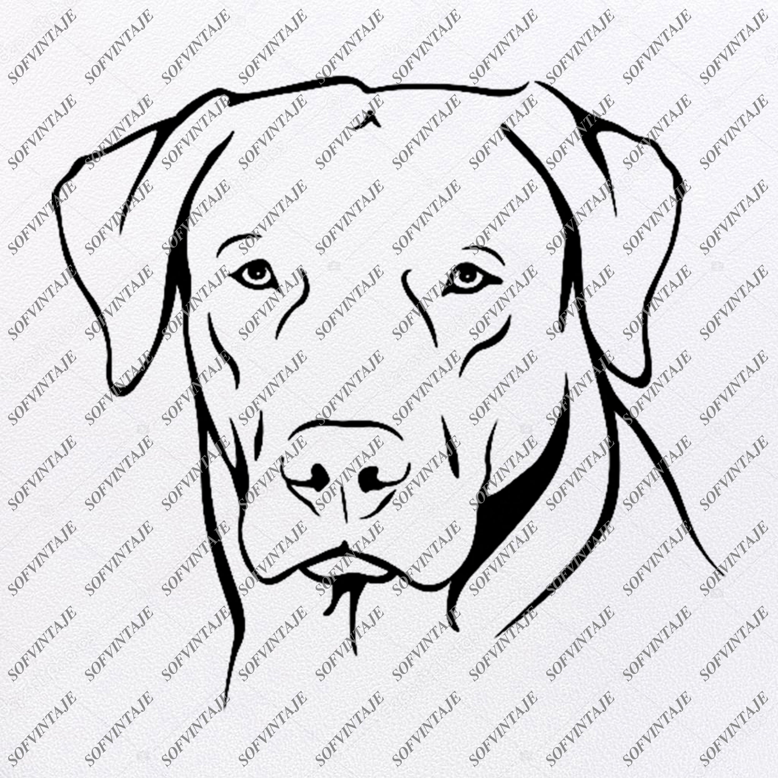 Download Labrador Dog Svg Dog Svg Original Design Labrador Clip Art Animals Svg Sofvintaje