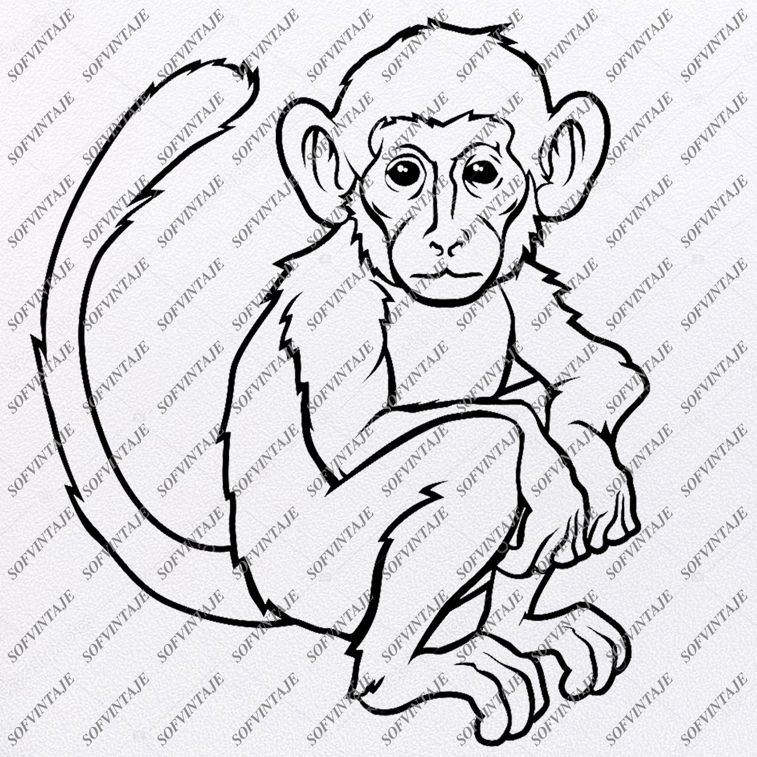 Monkey Baby Monkey Svg File Monkeys Svg Funny Monkey Animals Sv Sofvintaje