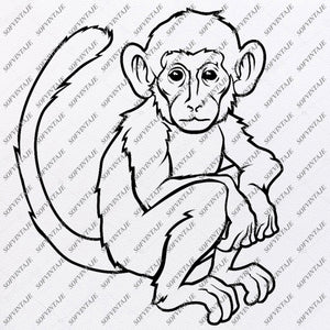 Free Free 329 Baby Monkey Svg SVG PNG EPS DXF File