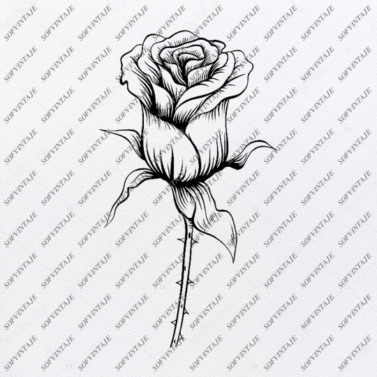 Download Rose Svg File Flower Of Love Original Svg Design Tattoo Svg Clip Art F Sofvintaje