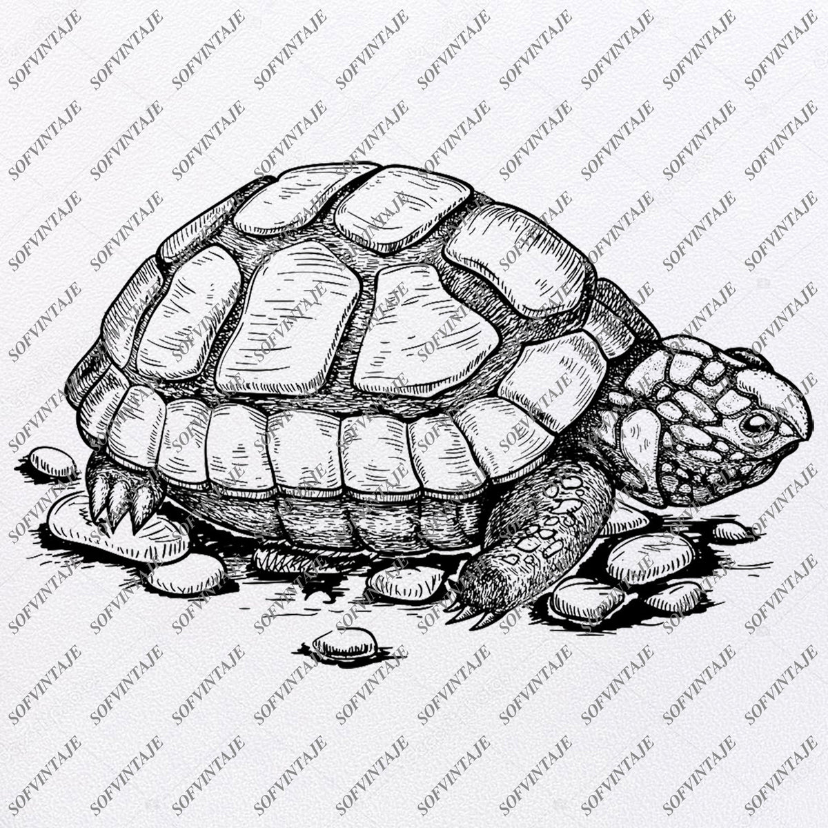 Download Turtle Svg File-Turtle Original Design-Turtle Clip art ...