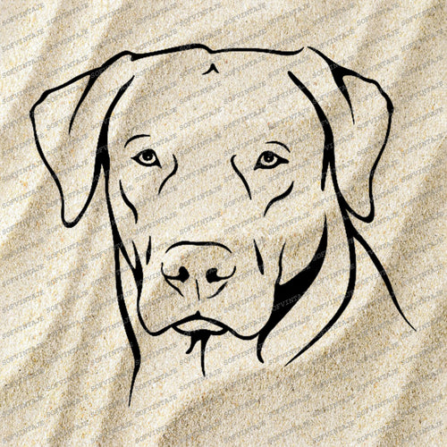 Download Home Page Tagged Labrador Svg Files Sofvintaje