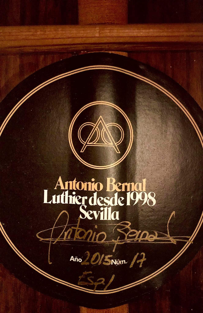 Guitarra Antonio Bernal 2015