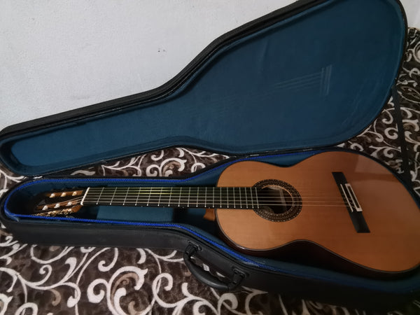 Guitarra Arnulfo Rubio 2018