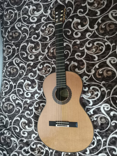 Guitarra Arnulfo Rubio 2018