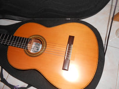 Guitarra Daniel García Corona 2018