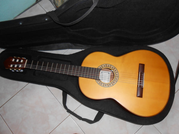 Guitarra Daniel Garcia Corona 2020