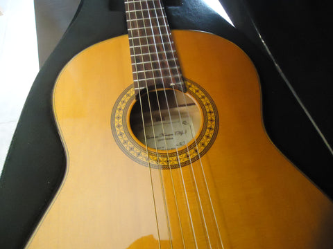 Guitarra Francisco Navarro 2020