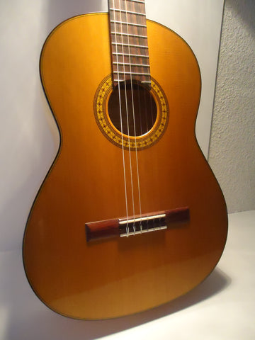 Guitarra Fernando Navarro hijo 2020